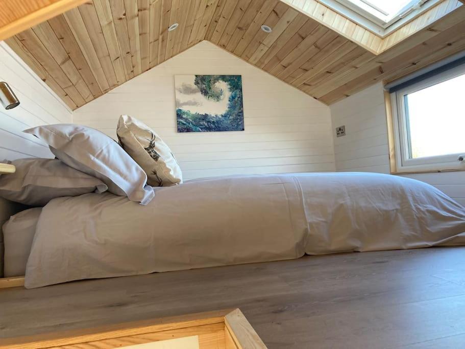 The Ashmere Tiny House Coldingham 외부 사진